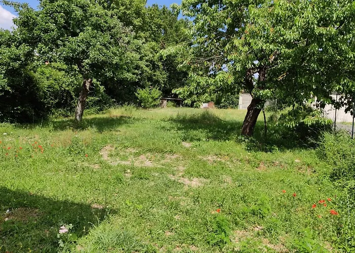 Studio Spacieux Tout Equipe Avec Jardin