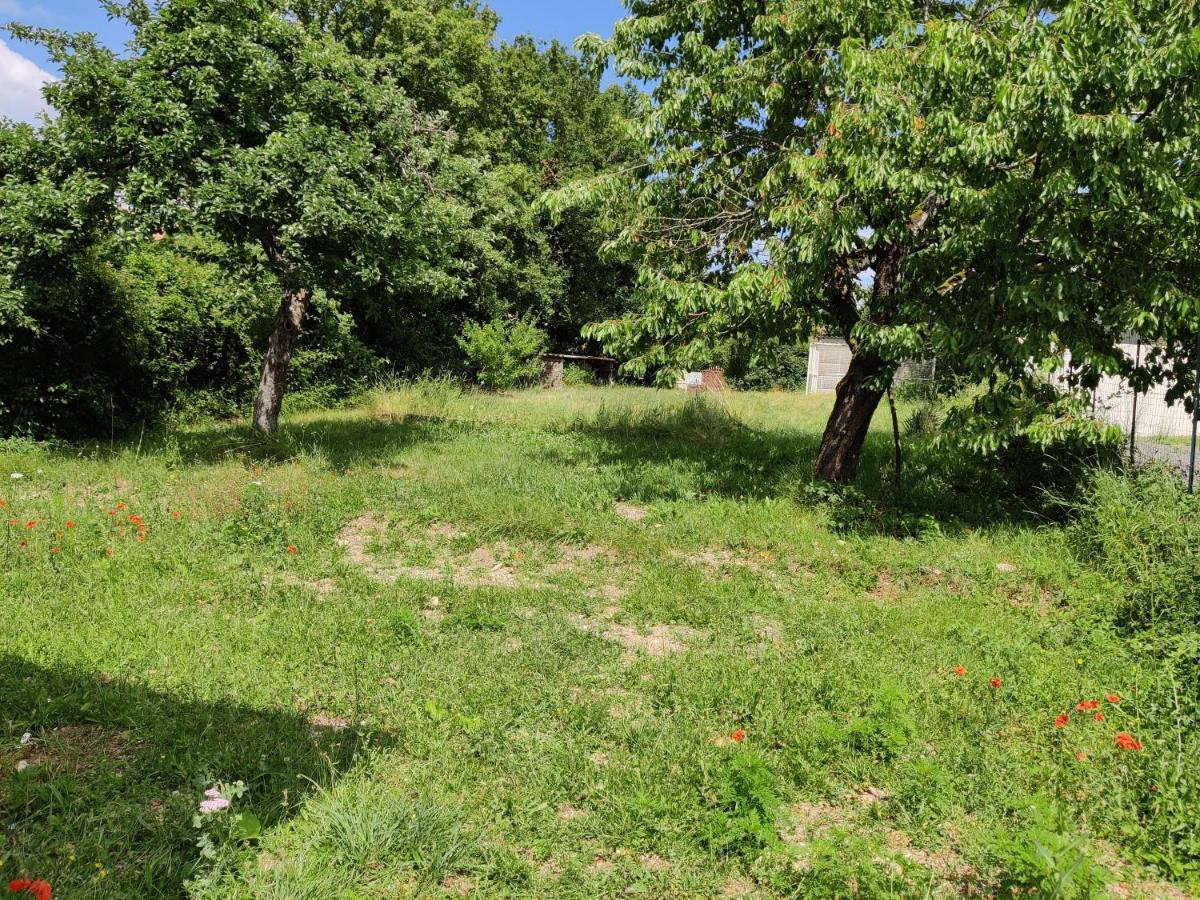 Spacieux Equipe Avec Jardin *